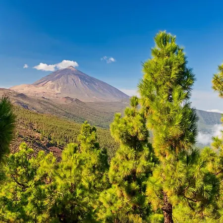 Amarilla Golf Penthouse By Vv Canary Ocean Homes 公寓