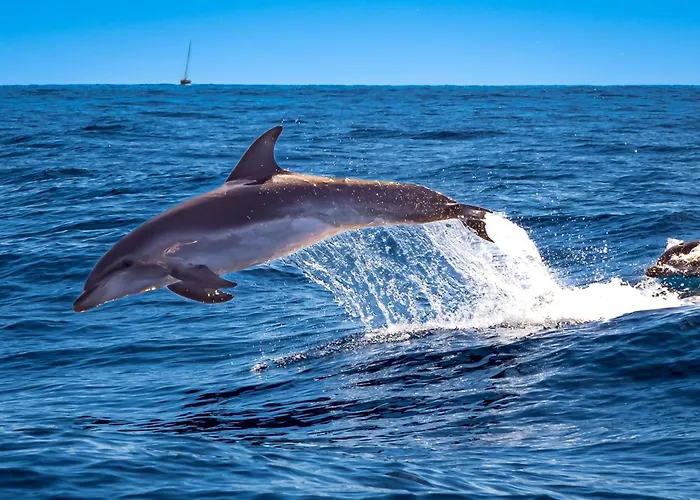 Amarilla Golf Penthouse By Vv Canary Ocean Homes San Miguel de Abona